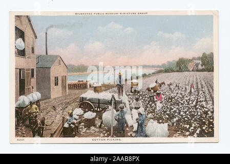 Cotton Picking, Milwaukee Public Museum Miniature Group; Cotton Picking, Milwaukee Public Museum Miniature Group Stock Photo