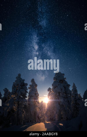 Sun shining through snow covered trees with milky way on the sky. This is two image collage. Stock Photo