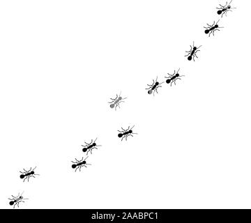 Worker ants marching. Vector ant seamless border. Working team concept. Small vector bug colony. Insects. Stock Vector