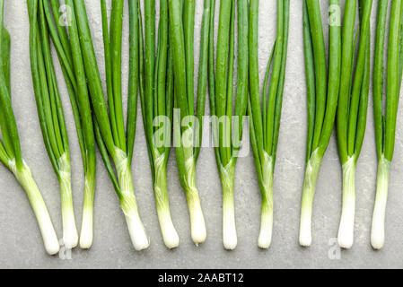 Fresh spring onion with green scallion. Farm fresh organic green vegetables, flat lay, top view. Stock Photo