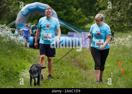 Dogs and their owners taking part in the Muddy Dog Challenge, tackling an obstacle course while doing walkies, all in aid of Battersea Dogs Home, at S Stock Photo