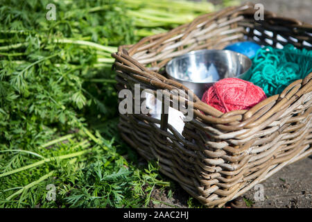 Balls of yarn in a wicker basket on the green grass, visiting my grandmother Stock Photo
