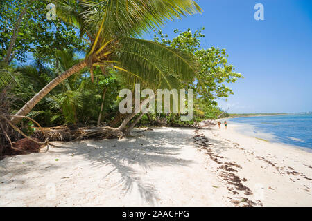 Unrecognizable people walking on white sand of wild coast of Sargasso sea, Punta Cana, Dominican Republic Stock Photo