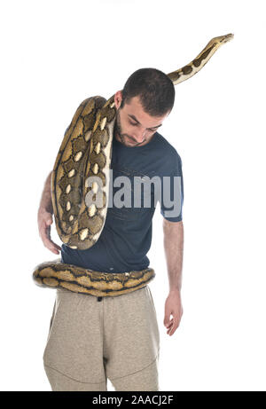 Reticulated python in front of white background Stock Photo