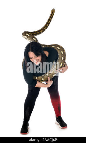 Reticulated python in front of white background Stock Photo