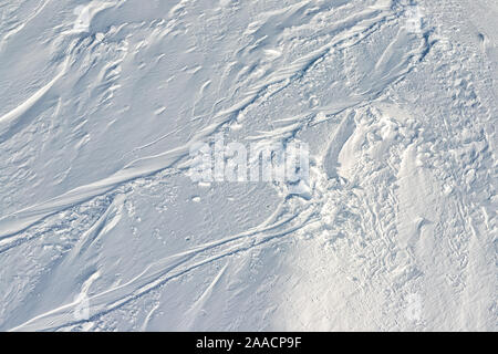 Snowy abstract off-piste skiing backround texture with ski and snowboard trails and tracks on new virgin powder snow. morning sunrise or evening Stock Photo