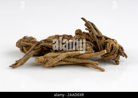 Valerian roots / (Valeriana wallichii) / Tagar, Indischer Baldrian Wurzel / Tagara, Takaram, Ayuverdische Hoelzer, Reucherhoelzer, Ayurveda, Räucherhö Stock Photo