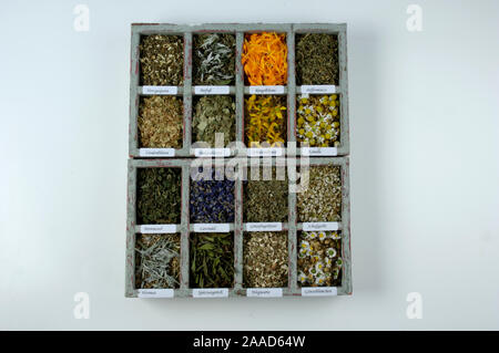 Diffrent dried herbs | Verschiedene getrocknete Kraeuter / Kräuter, Teekraeuter Stock Photo