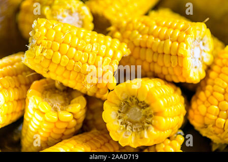 Corn on the cob in a bowl cooked Stock Photo