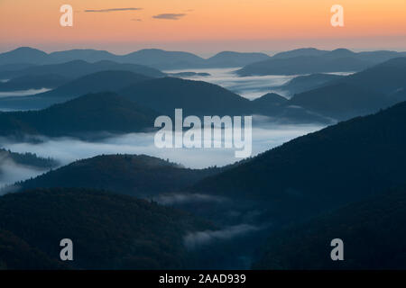 Schwarzwald, Nebelstimmung, Schauinsland, Stock Photo