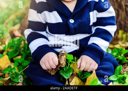 Detail of a baby sitting in a forest playing with dry autumn leaves. Stock Photo