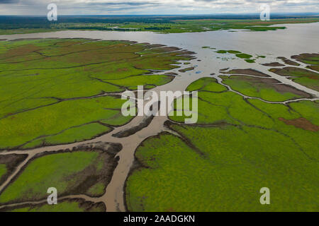 Aerial view of the edge of Lake Urema, Gorongosa National Park, Mozambique. July 2014 Stock Photo