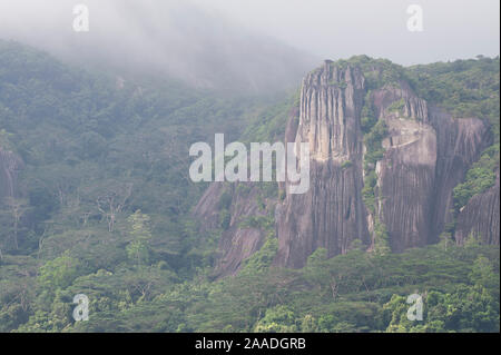 Pristine tropical rainforest and granite cliffs in mist, Morne Seychelles National Park, Mahe Island, Republic of Seychelles Stock Photo