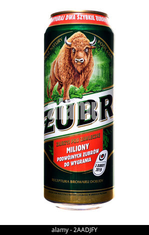 Polish beer can - Zubr lager Stock Photo