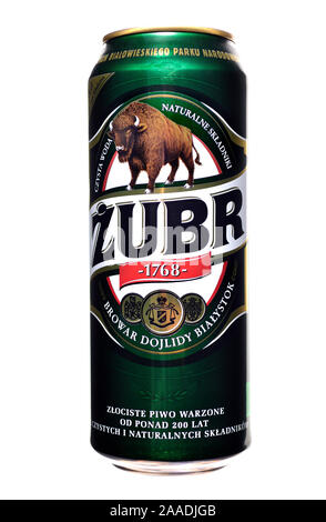 Polish beer can - Zubr lager Stock Photo