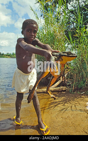 Young boy holding Goliath frog (Conraua goliath)  Sanaga, Cameroon. Hunted for bushmeat / food Stock Photo