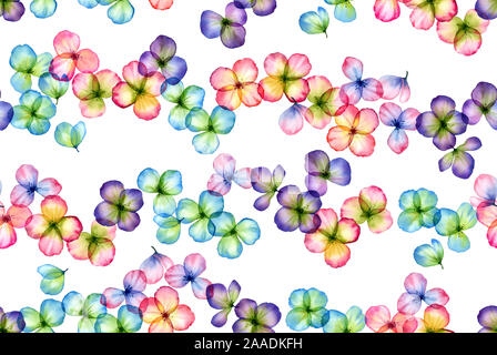 Transparent watercolor flowers. Seamless floral pattern. Isolated hand drawn with colourful field plants for wallpaper design, textile, fabric Stock Photo