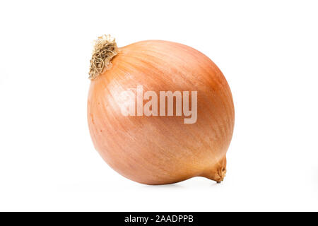 White onion with peel on a white background Stock Photo
