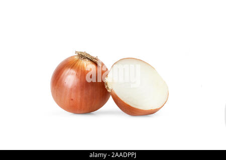 White onion with peel on a white background Stock Photo