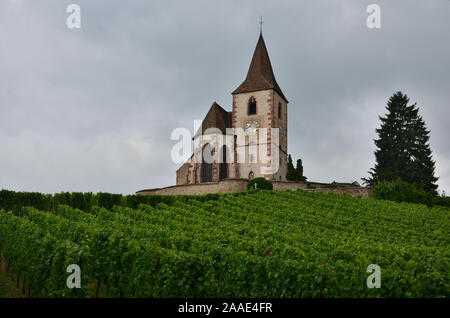 A small church in Alsace with an expanse of vineyards at its feet Stock Photo