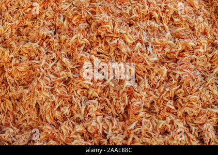 Very small shrimp. Sack baby prawns top view. Baby shrimps close up background. Texture of little shrimp. Stock Photo