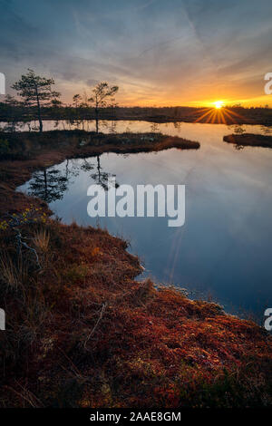 Last rays of setting sun reaching the colorful bank of a bog pond Stock Photo