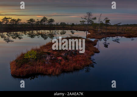 Colorful small island in the bog pond during twilight Stock Photo