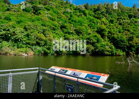 Lower Karori Reservoir in Zealandia, a conservation project and attraction is the worlds first fully-fenced urban Eco sanctuary of 225 HA, Wellington, New Zealand Stock Photo