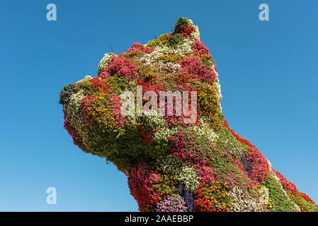 Puppy sculpture from flowering plants by Jeff Koons outside Guggenheim Museum Bilbao, Spain Stock Photo