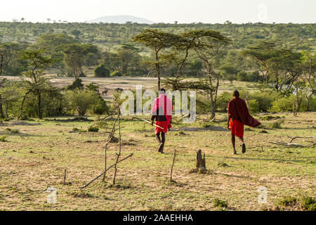 bush walk with Masai in Masai Mara Stock Photo