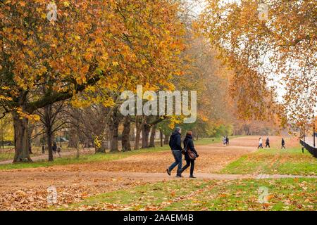 Walkers in Hyde Park pass underneath the golden canopy of autumnal leaves. Stock Photo