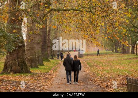 Walkers in Hyde Park pass underneath the golden canopy of autumnal leaves. Stock Photo