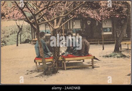 Illustrated postcard of Japanese women wearing traditional kimono, sitting on benches under cherry blossom trees, having a picnic-style tea ceremony called nodate, Japan, 1920. From the New York Public Library. () Stock Photo
