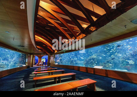 Inside of the L'Oceanogràfic, the largest oceanographic aquarium in Europe, City of Arts and Sciences, Valencia, Spain Stock Photo