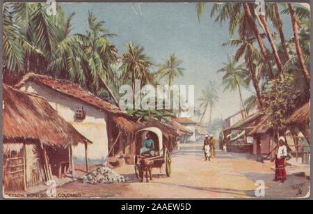 Illustrated postcard of a dirt road lined with thatched roof houses and palm trees, Colombo, Sri Lanka (formerly Ceylon), published by Raphael Tuck and Sons, 1908. From the New York Public Library. () Stock Photo