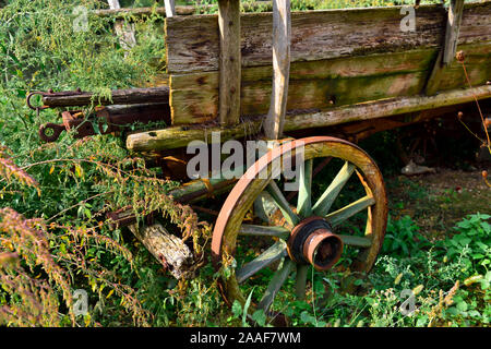 Old rustic dilapidated wooden farm wagon overgrown in field Stock Photo