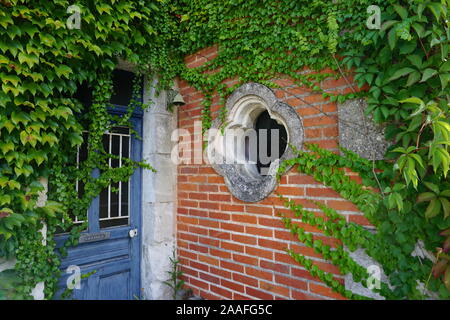 close up on an old red brick wall and blue door with green ivy creeping around Stock Photo