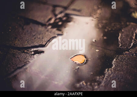 Puddle with autumn leaf on a stone road, reflection of light in water Stock Photo