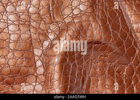 Brown leather texture background, closeup. Nature structure of textile. Stock Photo