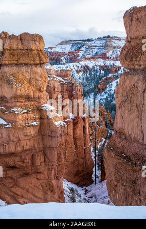 Snowfall in Bryce Canyon, Utah. Looking down at snow through narrow slot canyon in on a Bryce Canyon trail after winter storm. Stock Photo