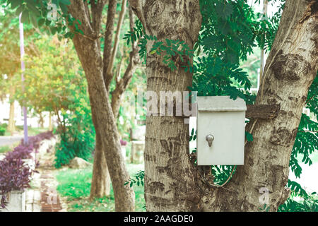 Old rusty electrical power control box on tree in the public park. Stock Photo
