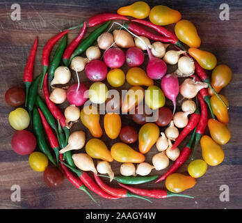 Still life of autumn vegetable, tomatoes, pepper chili, onion on dark wooden background. Stock Photo