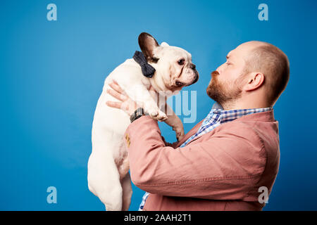 Bald man in jacket with french bulldog in his arms on empty blue background in studio Stock Photo