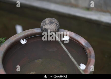 Stone vessel with water and petals of white flowers for ritual bathing Stock Photo
