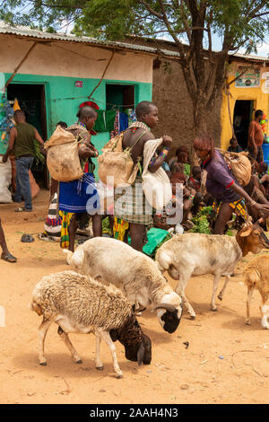 Ethiopia, South Omo, Turmi, weekly market, livestock brought by Hamar tribal people to sell Stock Photo