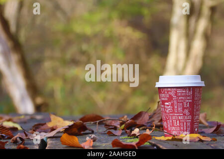 Coffee to take away, served in park in autumn times Stock Photo