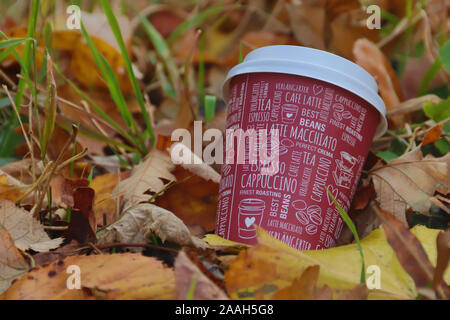 Coffee to take away, served in park in autumn times Stock Photo