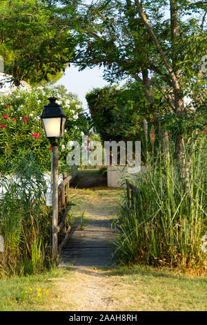 A romantic path with a street light, flowers and a river Stock Photo