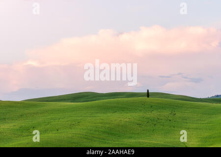 Beautiful countryside landscapes in Tuscany with rolling hills during the sunset Stock Photo