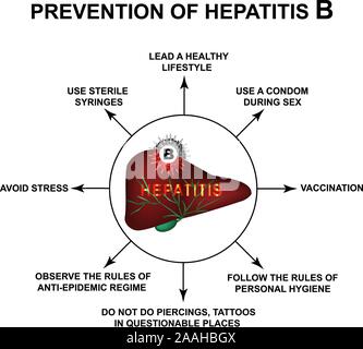 Prevention of Hepatitis B. World Hepatitis Day. Infographics. Vector illustration on isolated background. Stock Vector